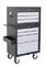 OEM / ODM 3 Drawer top chest & 6 Drawer garden tool chest roller cabinet
